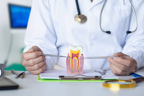Best 24-Hour Emergency Dentist in Rmichael, CA